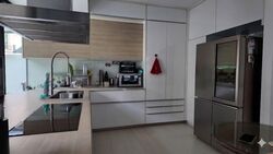 Begonia Road (D28), Terrace #544825231